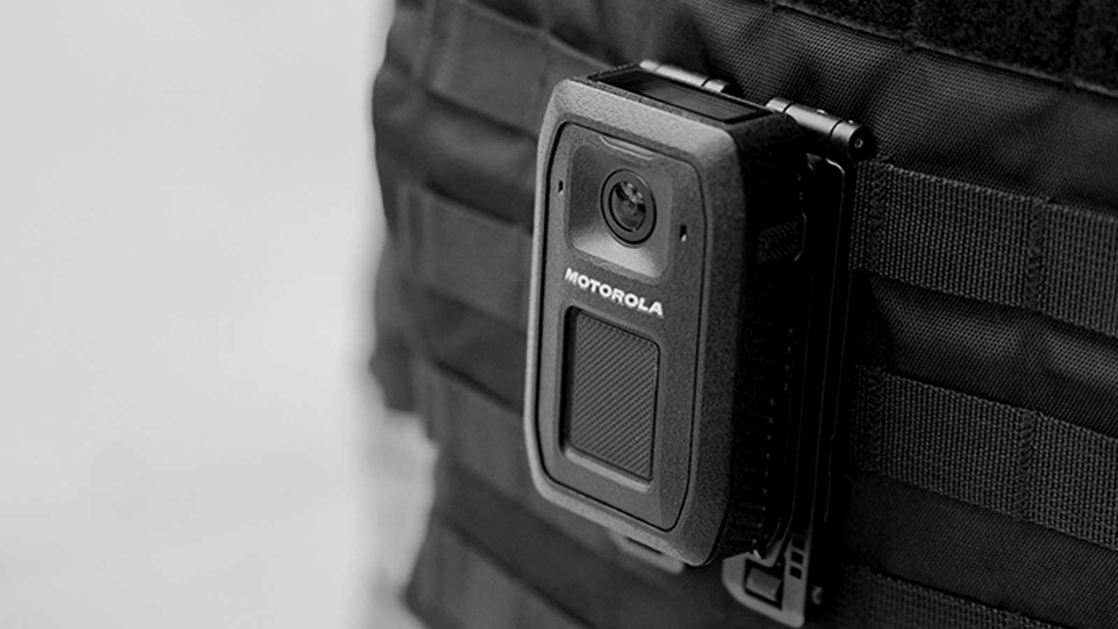 parallax image